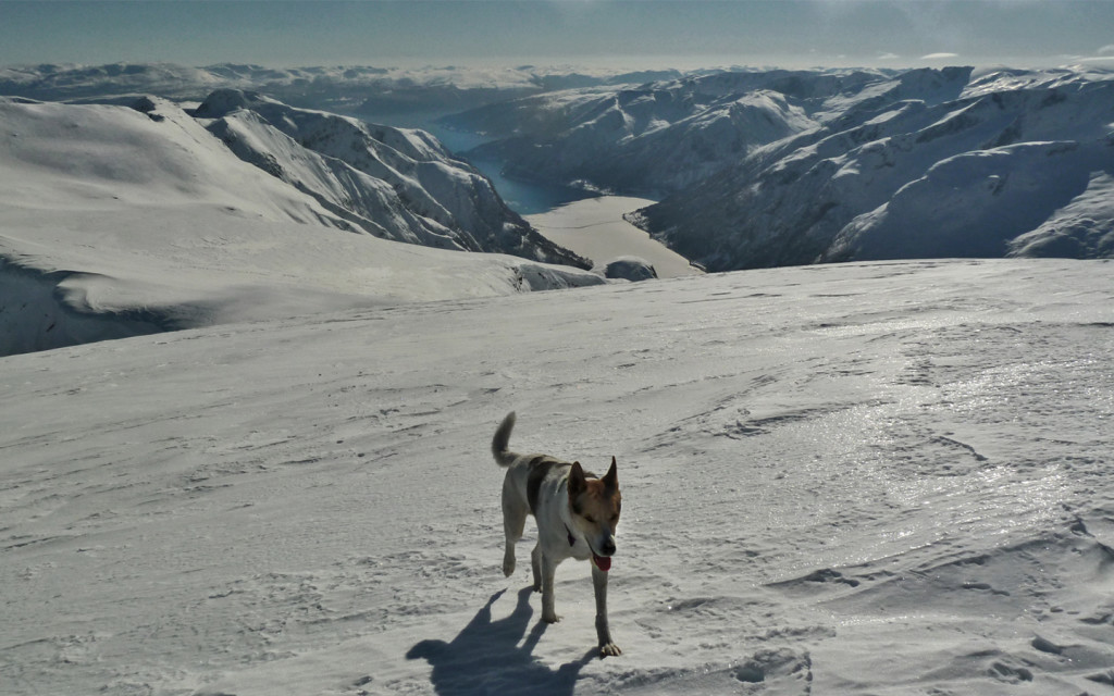 sof ski 03