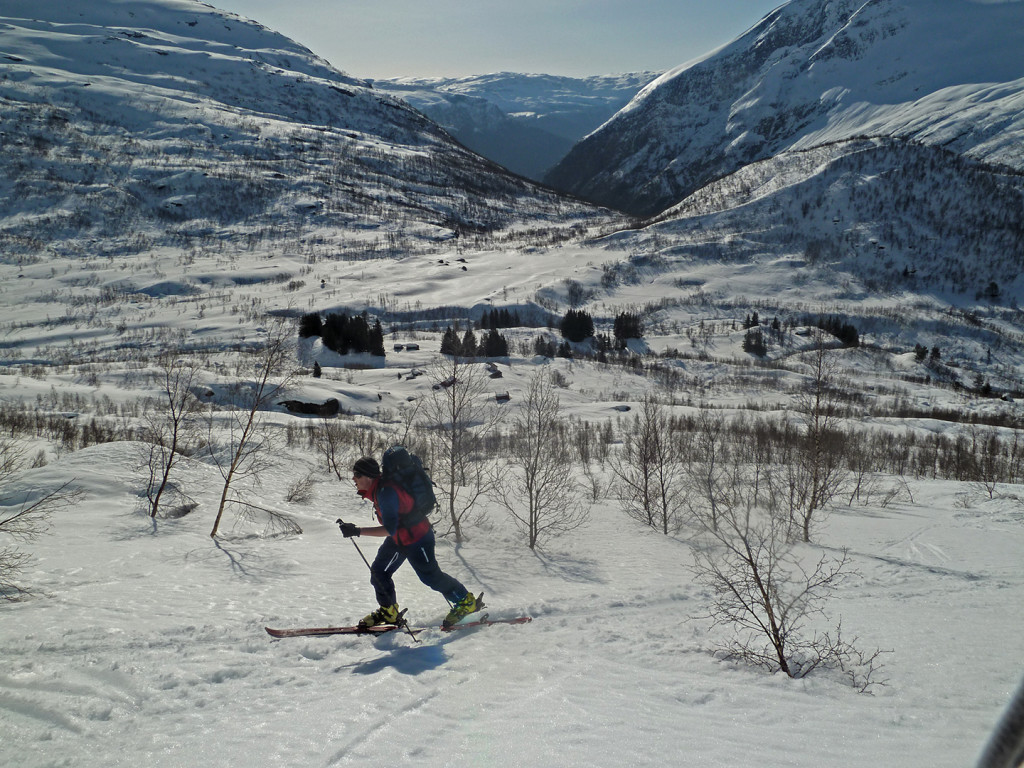 Vigdalen- Buskrednosi