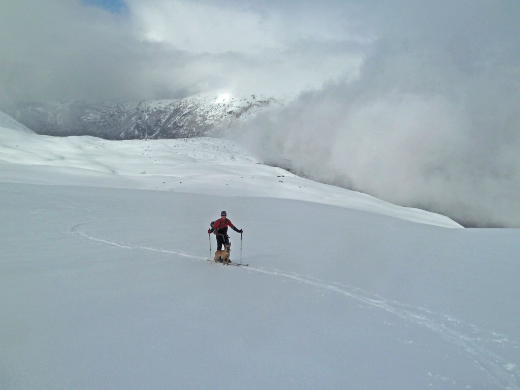 Vigdalen ski touring