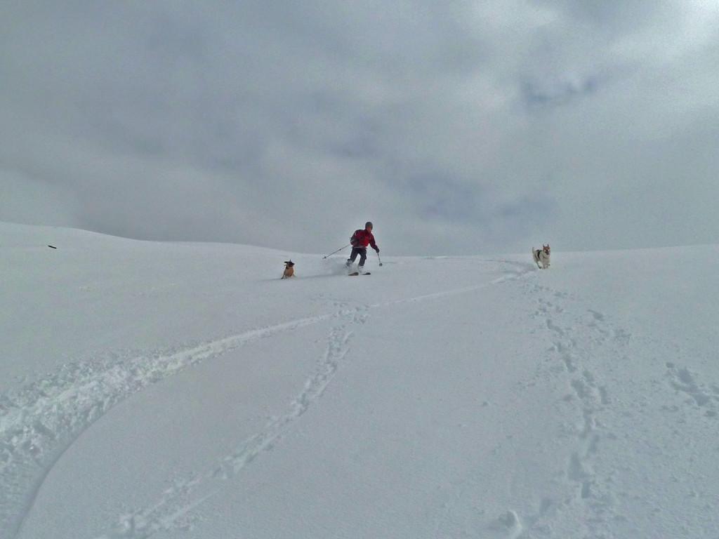Vigdalen ski touring