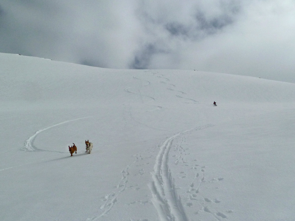 Vigdalen ski touring